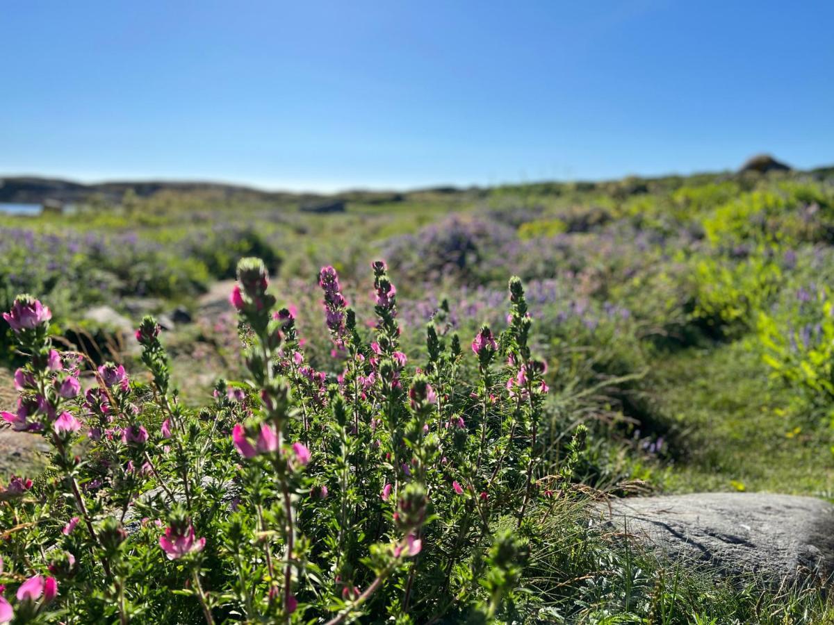 Ny Leilighet I Nevlunghavn Larvik Exterior foto
